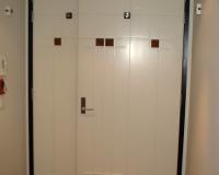 Commercial door with feature panels
